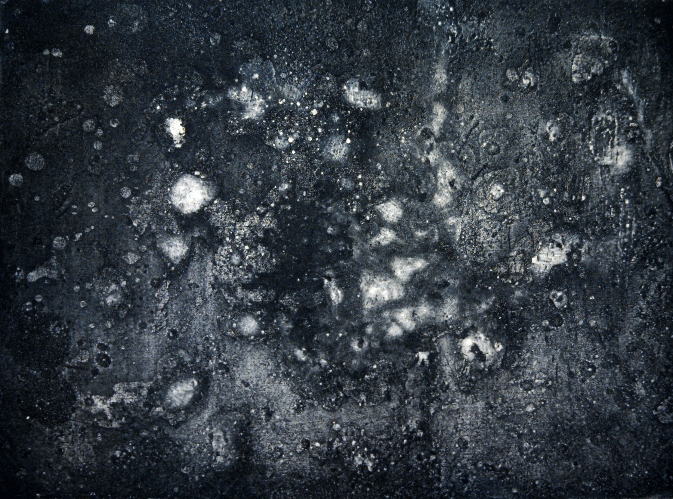 Microcosmos