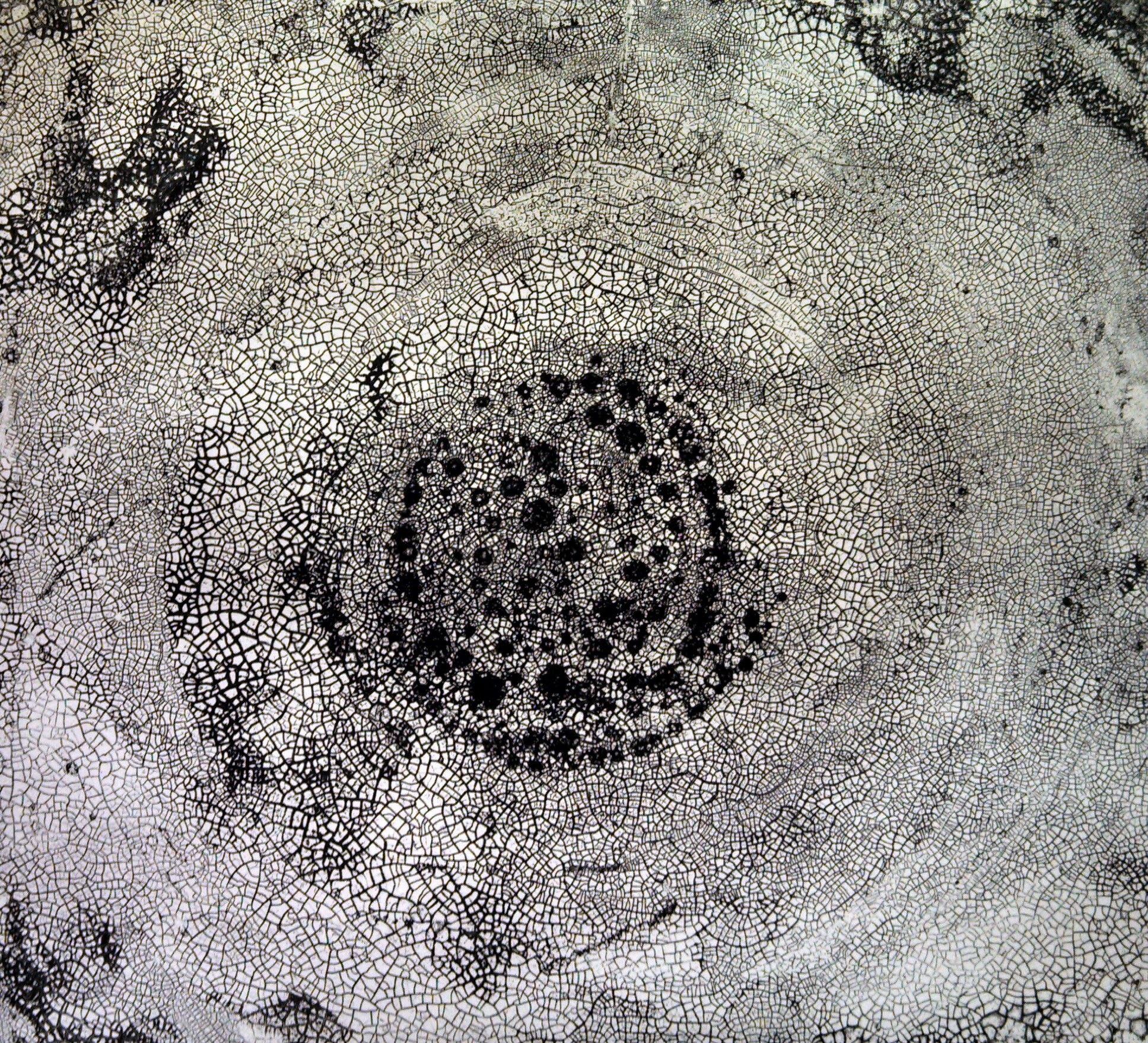 Chaos